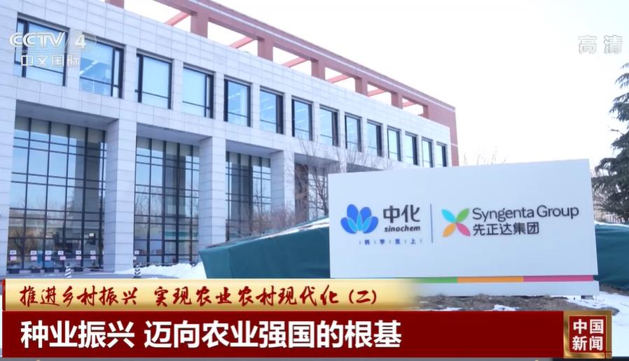 [視頻]種業(yè)振興 邁向農業(yè)強國的根基
