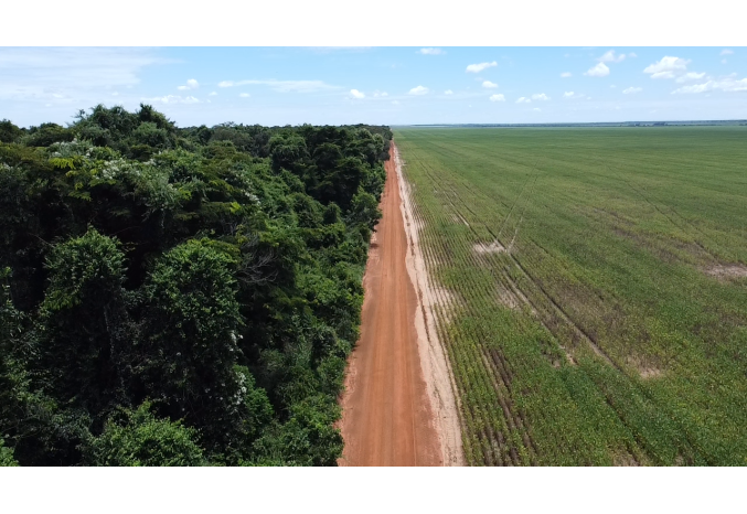 Syngenta Group deepens cooperation with The Nature Conservancy